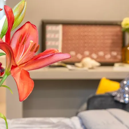 Sardinia Re - Viale Italia Guest house *